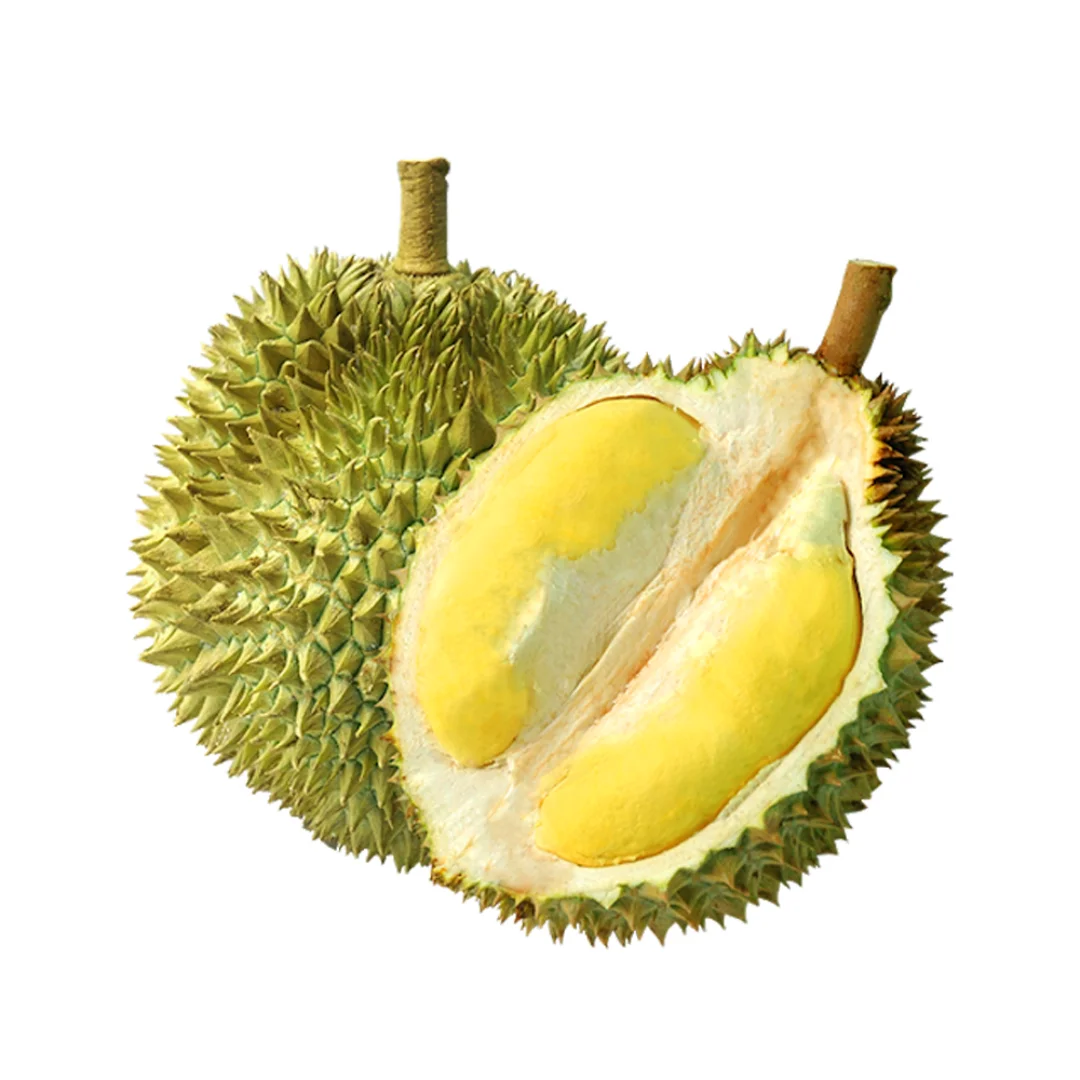 Best Fresh Durian VIETNAM FRESH DURIAN BEST PRICE 100% HIGH QUALITY Yellow Tropical Sweet Durian