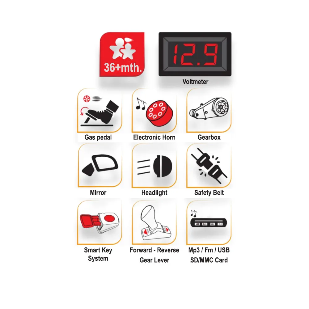 Terry Bery Kids Ride On Car With Remote Control 12V Battery Powered Double Person, Electronic Horn, MP3