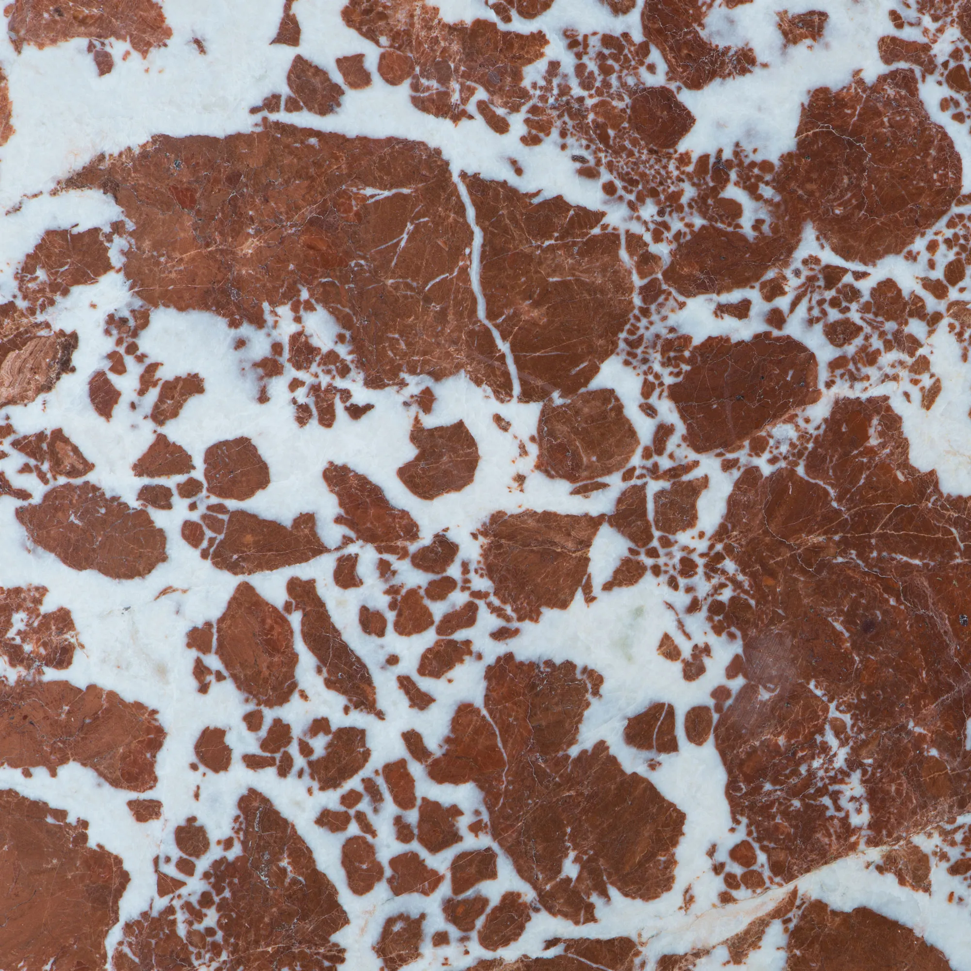 30x30cm Tiger Wholesale Premium Polished Marble for Flooring & Walls  Ideal for Residential and Commercial Projects