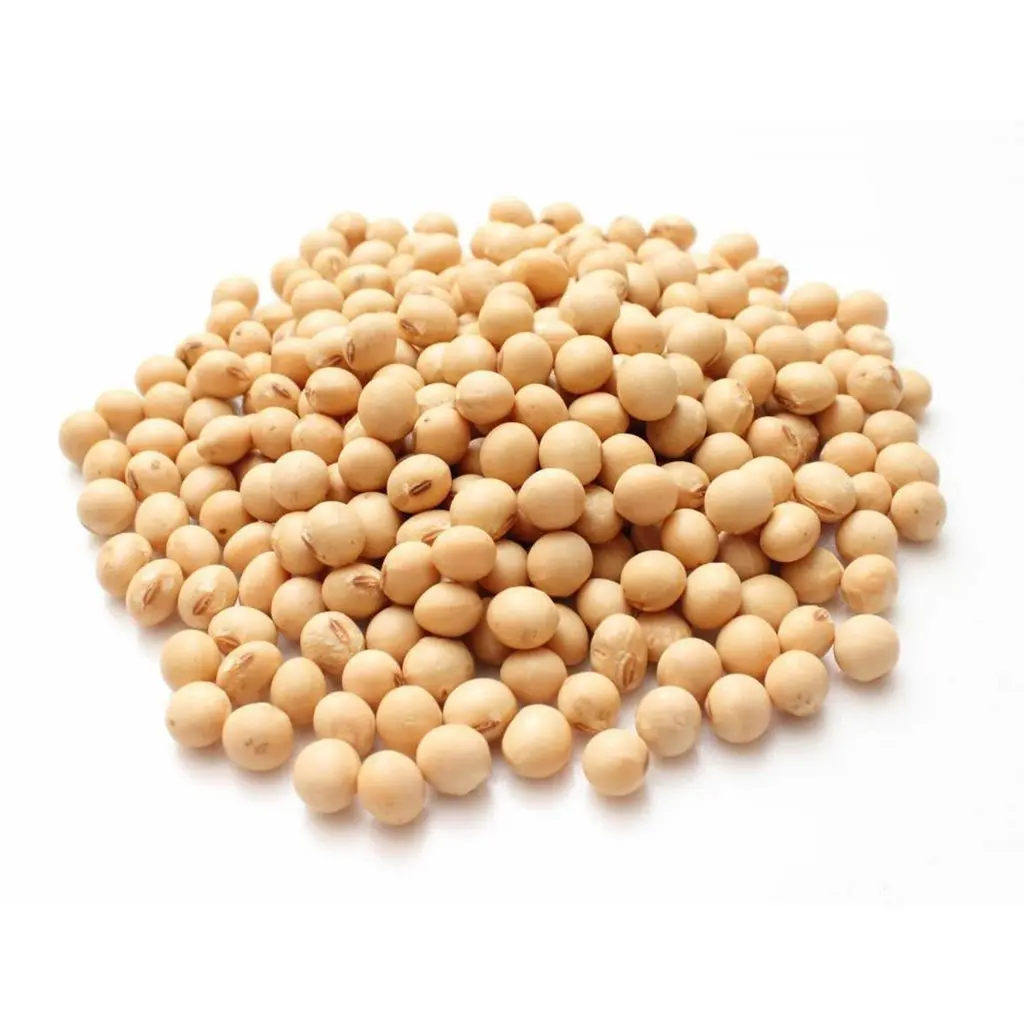 GMO and Non GMO Soyabean/Soybean for Sale Soy Beans Soya Soya Bean Grain Common High Quality