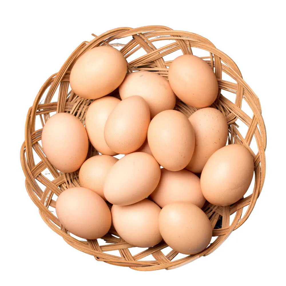 Золотые курятники 500 Кобб и 308 яйца для продажи в Европе: золотой стандарт свежести в яйцах