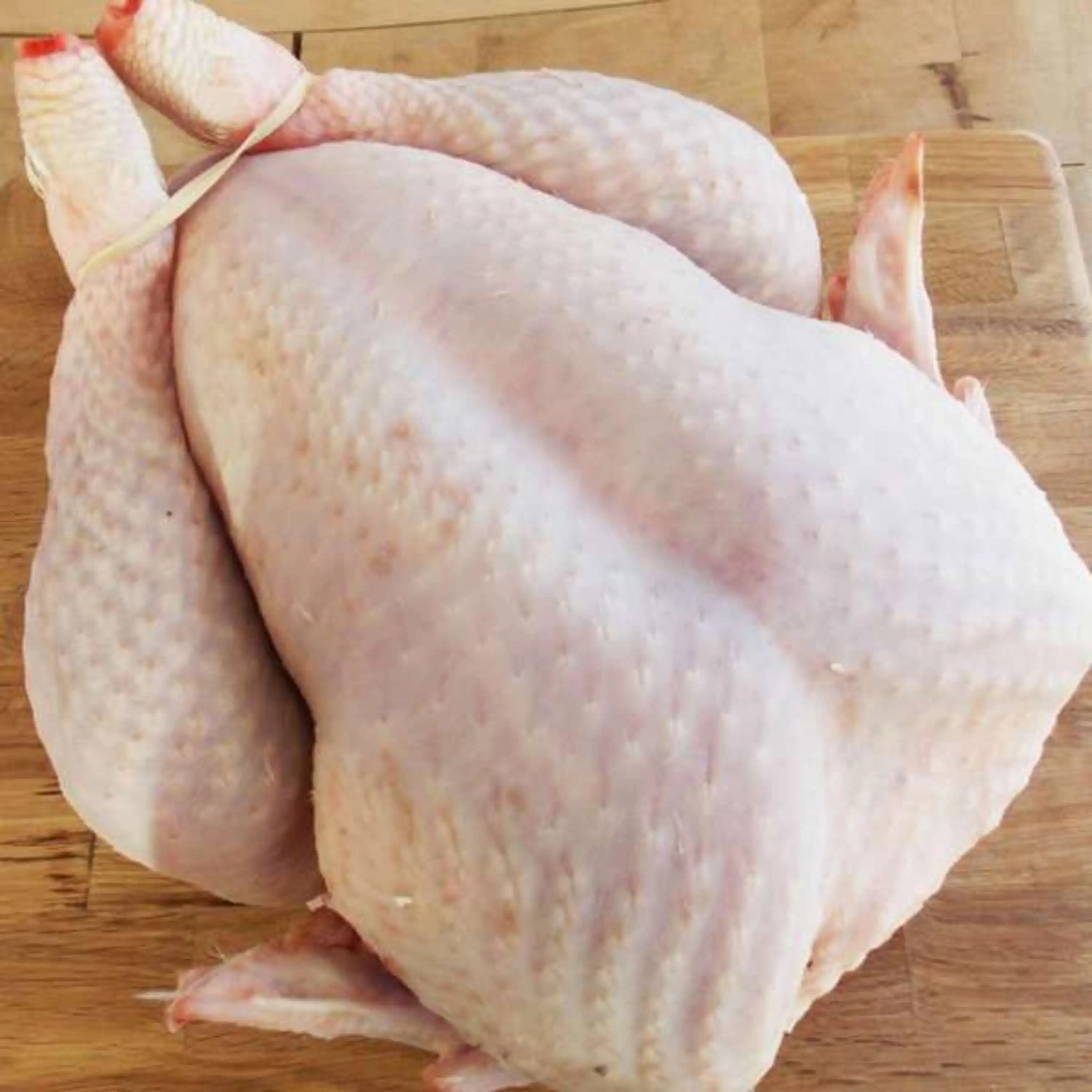 BUY BULK HALAL FROZEN WHOLE CHICKEN