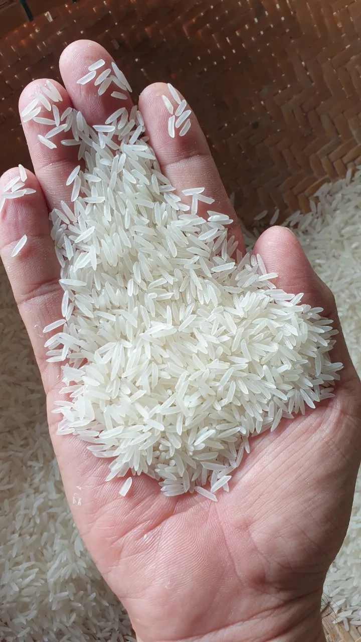 Оптовая продажа, вьетнамский экспортер риса специального назначения | 100% органическое зерно риса ST25 пакет 5 кг для использования-Лучший в мире рис в 2019 году премия