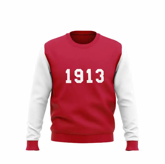 Custom Embroidered Delta | Sigma |Theta DST Sorority Shirt Greek Paraphernalia sweatshirt