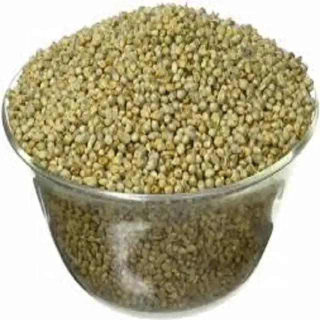 Fresh Crop 2023/2024 Millet (Bajra) High Quality 100% Natural Millet Dry Grain organic Green Millet from Africa manufacturer