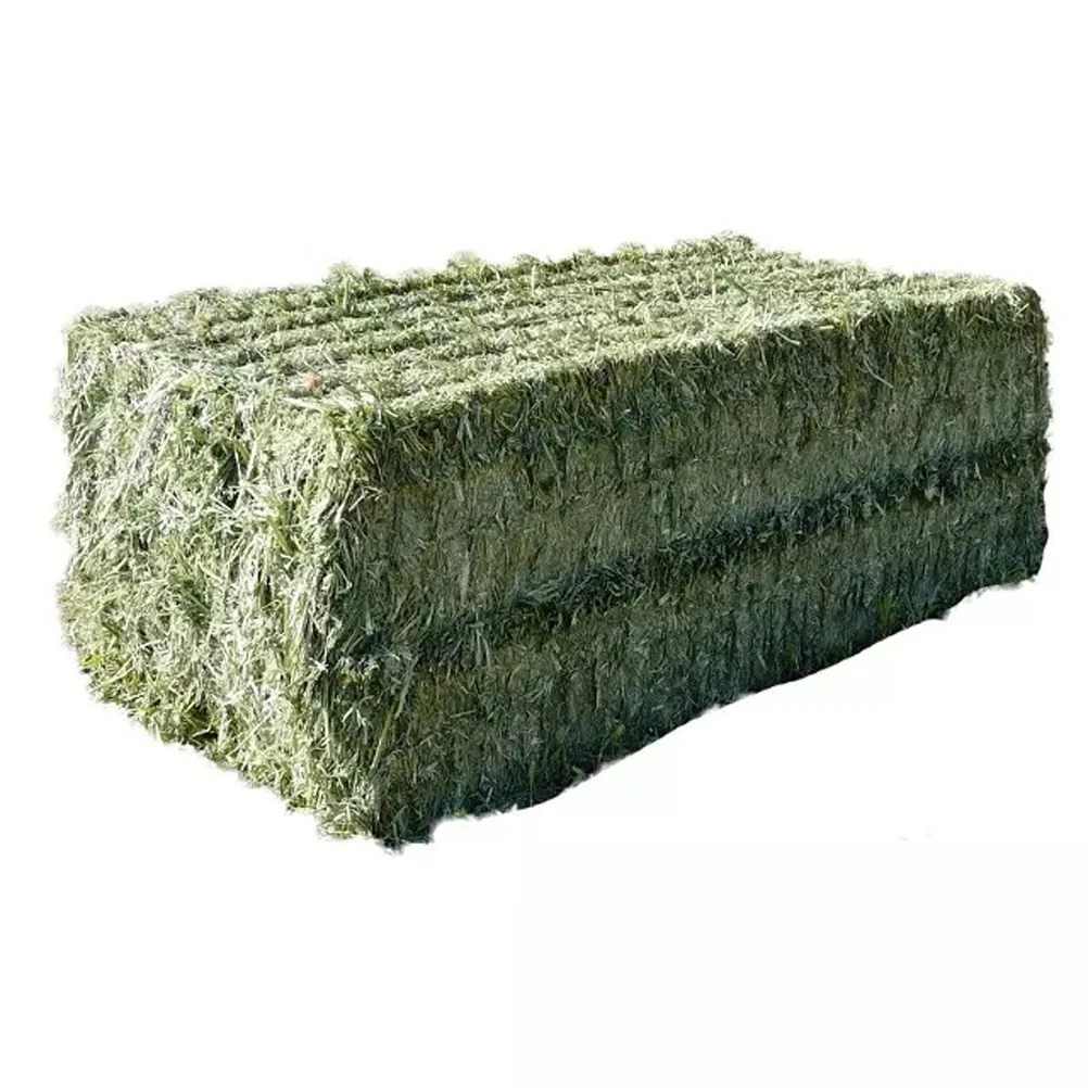 Quality alfalfa hay bays / Alfalfa pellets / Dehydrated Alfalfa cubes timothy hay