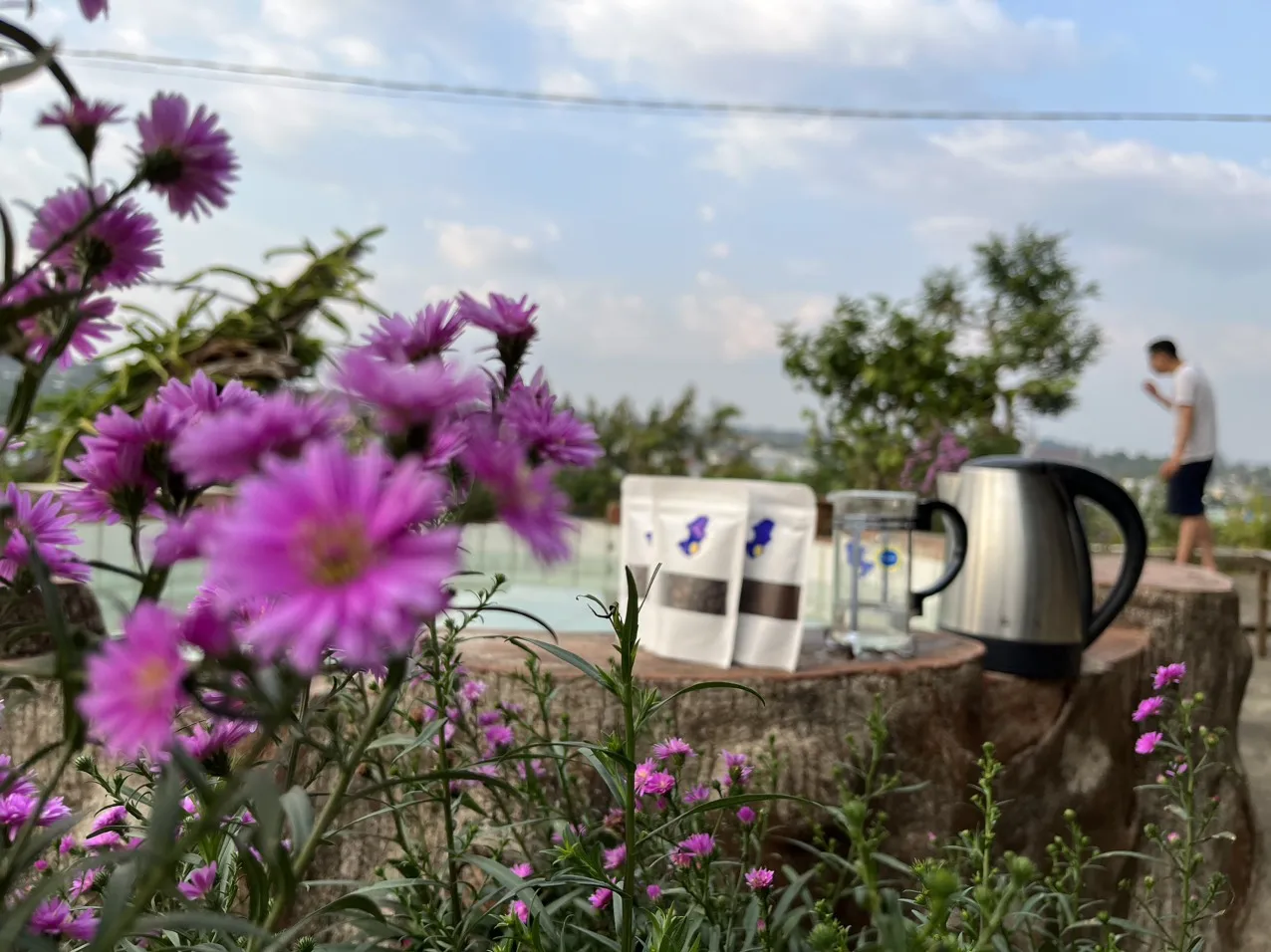 Vietnamese Robusta Fruity Smooth Balanced Harmonious COMMON Cultivation Type Agriculture Green Coffee Beans