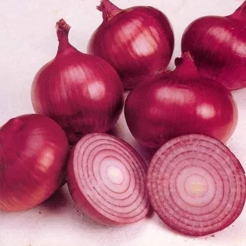 Super Quality vegetables Red Onion for Cooking Food Available at Wholesale Price from Indian Exporter