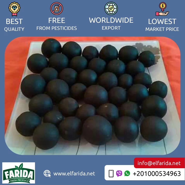 Egypt Origin Supplier of Best Quality Premium Grade Delicious and Nutritious Fresh Citrus Fruit Yellow and Black Dried Lemon