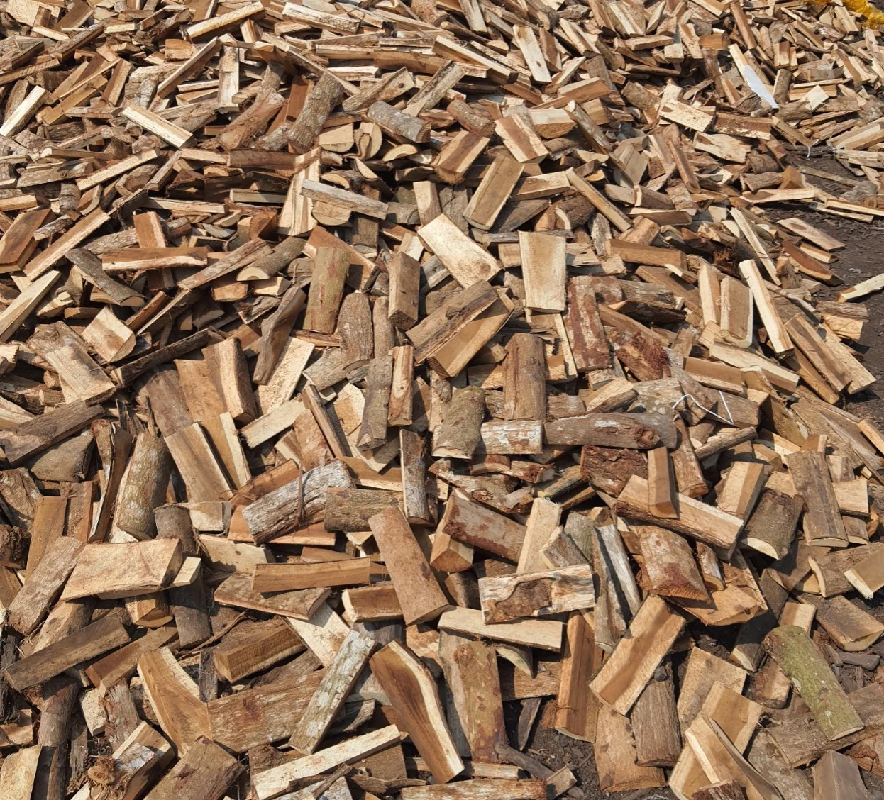 ACACIA FIREWOOD -GOOD QUALITY