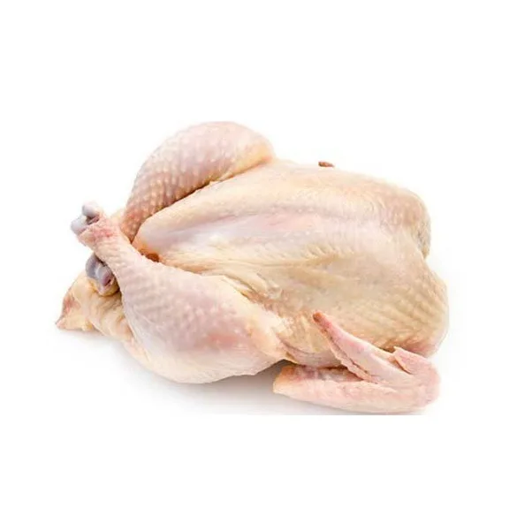 Perfect Premium Grade Halal Frozen Whole Chicken Brazilian Quality Halal Frozen Whole Chicken and Parts Halal Frozen Whole Chick