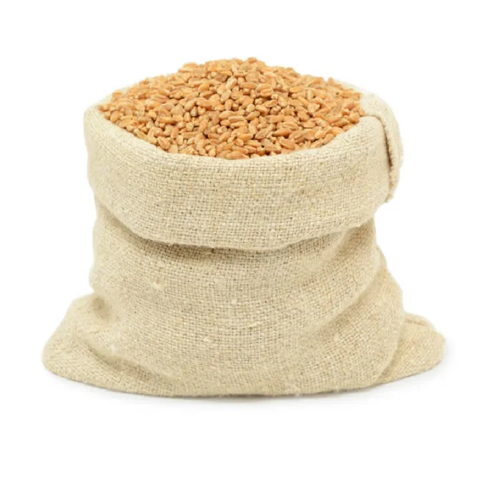 Best Market Price Wheat Grain In Bulk Pure & Nutrition Wheat Grain