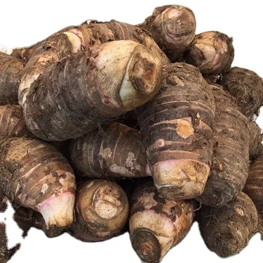 UTB8m7VhkpPJXKJkSahVq6xyzFXax (2).jpg