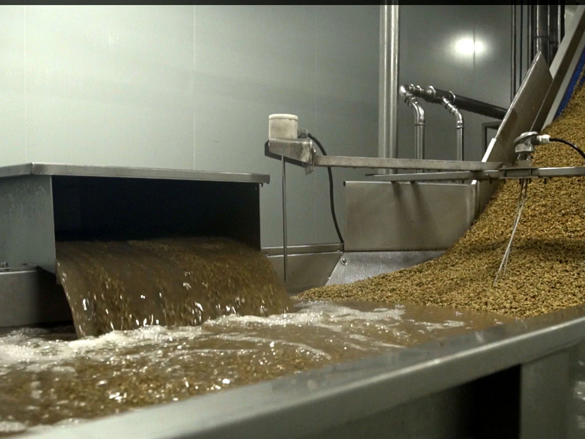 Best Spanish Quality Canned Vegetables Healthy Preserves Tinned Lentils Cooked Brown Lentils for Supermarket and Horeca 3kg