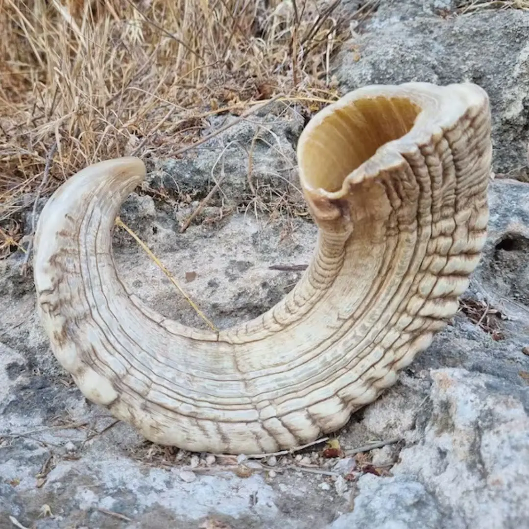 Horn Dog Food And Chew And Hand Made Product Material Natural Lamb Horn For Sale