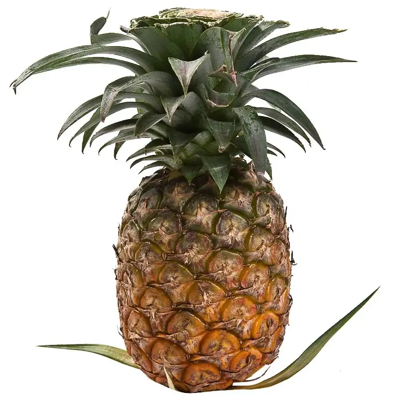 Pineapple In Syrup , Of Thailand