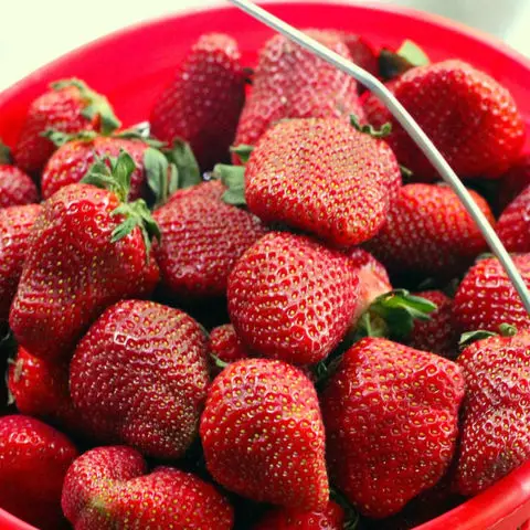 Frozen Organic Strawberry Fresh Frozen Strawberries