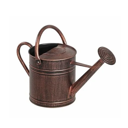 5 L Galvanized Iron Watering Can Handmade High Quality Customized Iron Metal Watering Cans for Garden Supplies Iron Watering Pot