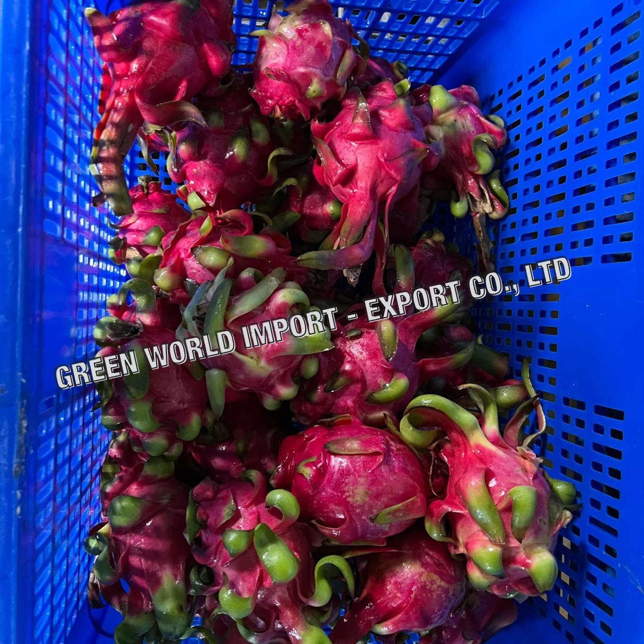 Хрустящие сушеные фрукты дракона из Вьетнама свежие чипсы питая 100% высокое качество и Лучшая