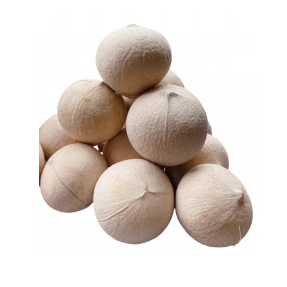 Wholesale Coconut Water Tropical High Quality Semi-Husked Siames Type Cheap Fresh Coconuts Vietnam Wholesale Whole Style