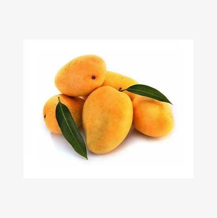 mango export Fresh mango