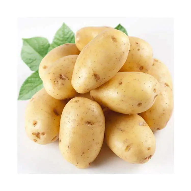 Купите высококачественный 100% органический свежий картофель по низкой