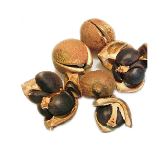 Custom seed packets tomato seeds three side seal paper laminated packaging bag 2023