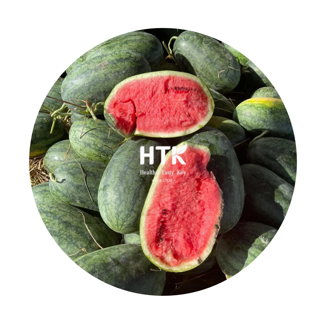 Лидер продаж 2022, арбузное пюре, сделано во Вьетнаме, завод HTK FOOD для еды и напитков