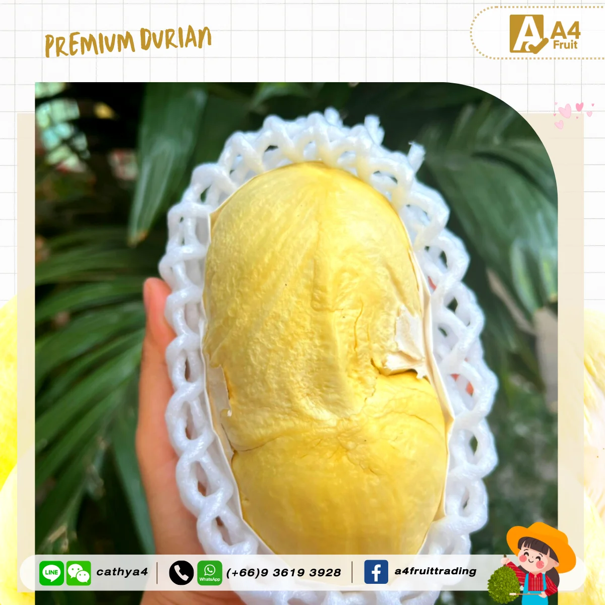 Свежий дуриан для Китая оригинал из тайского короля фруктов и лучший в этом мире