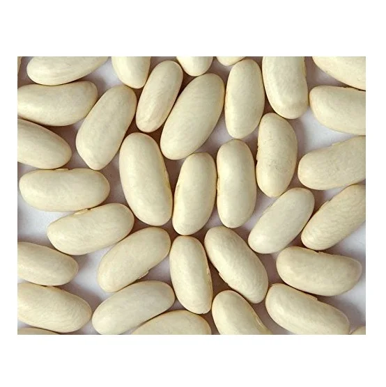 Wholesale Supplier Of Bulk Fresh Stock of Organic Dried White Kidney Beans