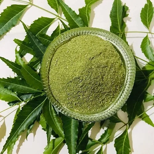 Neem Leaves Powder/ Azadirachta lndica/ Neem Powder