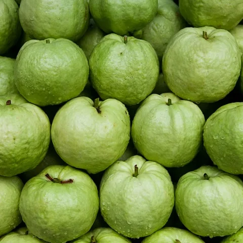 Vietnam Rich Quality Good Taste Fresh Fruit Red Guava For Wholesale Purchase