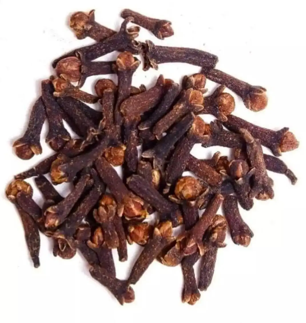 High Quality Clove Dried Spice Dry Cloves at Cheap Wholesale Price