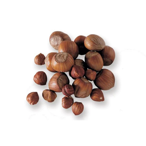Premium Quality Blanched Sliced Hazelnut