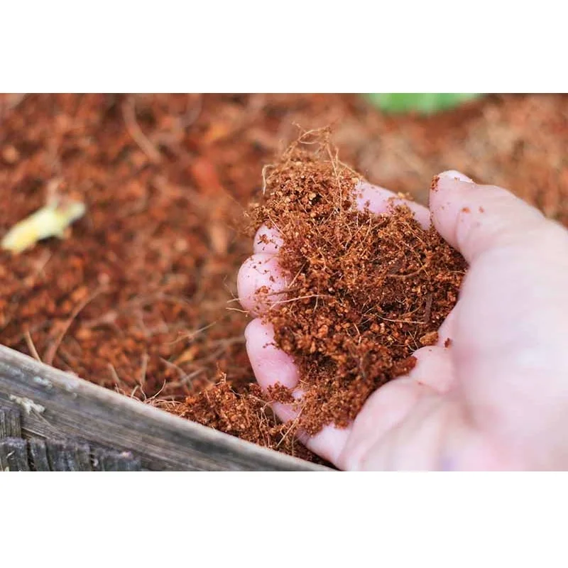 Customized Packaging Light Brown Organic Cocopeat coconut peat for Growing plant With Size 30 x 30 x 15cm Made in Vietnam