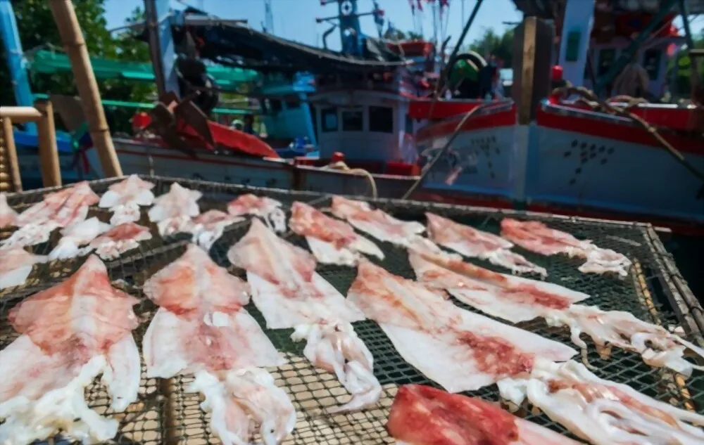 Dried Squid Calamari OEM Bulk Packaging Export Nutritious Fresh Squid From Viet Nam Factory