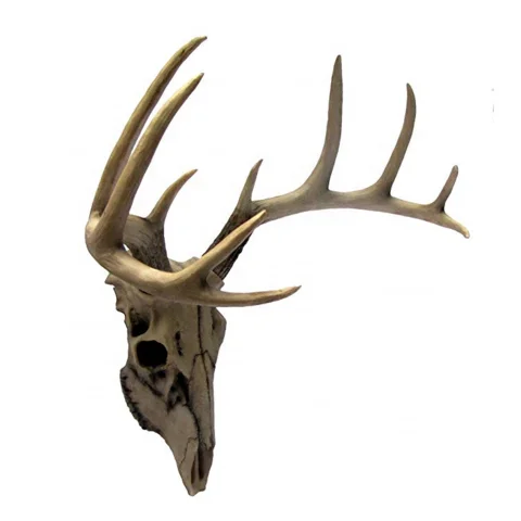 Best Grade Red Deer Antler Extract Source from Cattle Snail Bee Venom Sheep Beef Tallow Slime Venom Powder Form for Sale