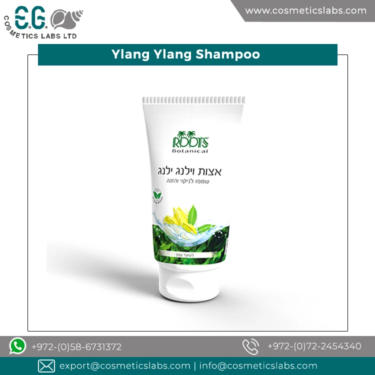 100% Natural High Quality Aromatic Flavor Algae Extract Ylang Ylang Shampoo for Hair for Genuine Bulk Purchasers