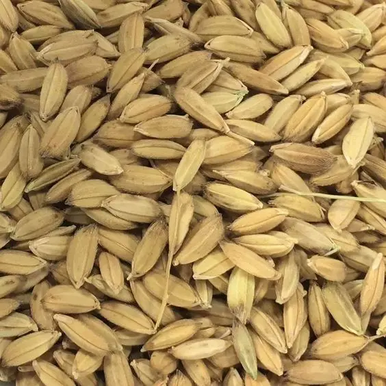 Exporting !! Very Cheap Price Raw Rice Husk from Vietnam !! Good commercial product, reasonable price