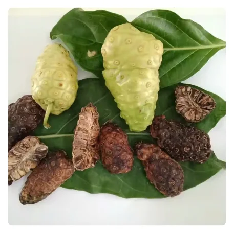 TRUSTED EXPORTER OF DRIED NONI FRUIT - BULK OPTIONS WITH EXCEPTIONAL QUALITY AND PRICE