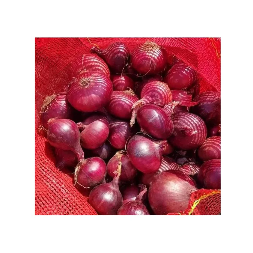 Exporters Big Red Onion Fresh Red Onion