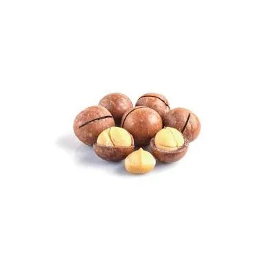 Supervior Quality Macadamia Nuts With Shell Raw Organic Bulk Nuts Macadamia Nuts Wholesales From Viet Nam
