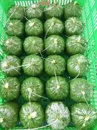 TW6 Viet Nam Best Price Frozen Cassava Leaf Minced Grated Cassava Leaves Customize Packing