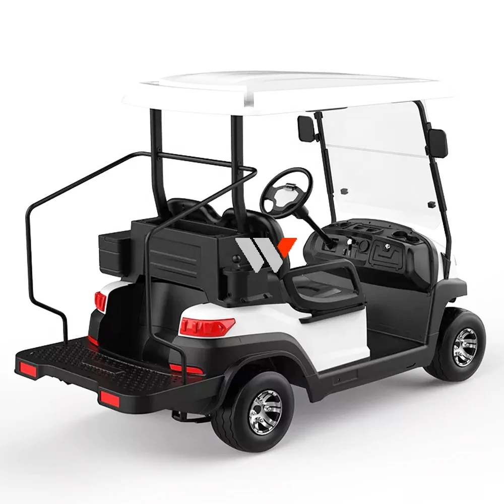 WFSEN S2 48v 4kw manufacturer mini 2 4 6 8 seater golf cart electric golf car with part