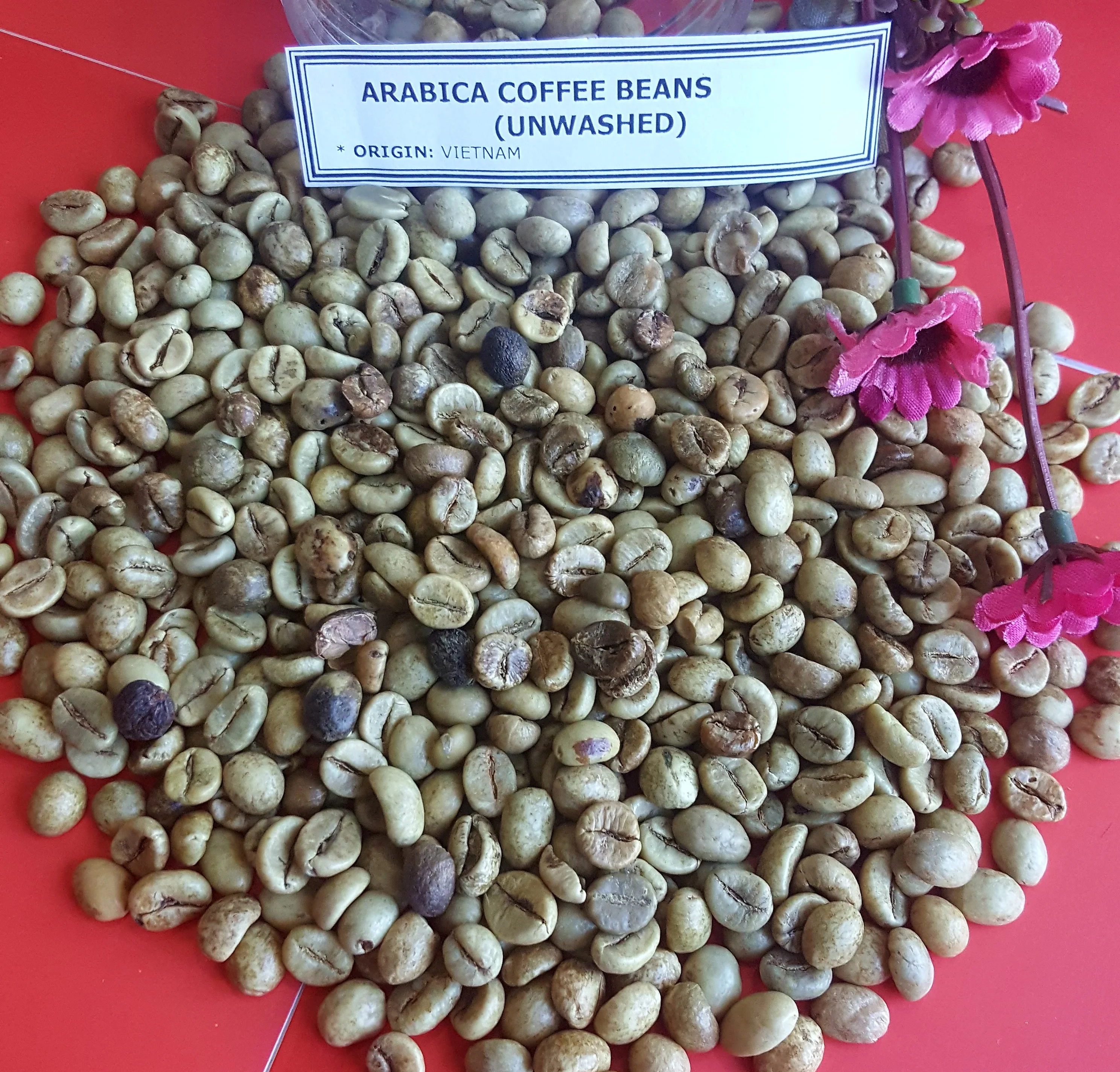 PREMIUM GREEN ROBUSTA COFFEE BEANS PERFECT FOR ROASTING, RICH FLAVOR SCR16 SCR18 UNWASH CLEANED WET POLISHED HIGH QUALITY EXPORT