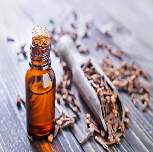 Clove Essential Oil  at Wholesale Price From India