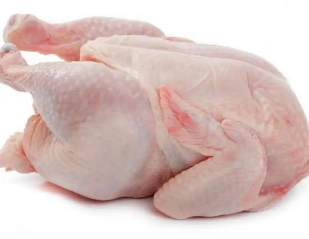 Buy Bulk Sale Processed Frozen Chicken Mid Wings Available for Sales