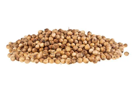 Organic Coriander Seeds