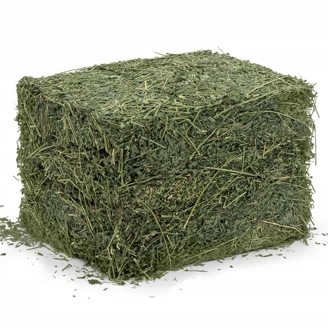 Alfafa Hay for Animal Feeding /alfalfa hay pellets /Timothy Hay in Bales