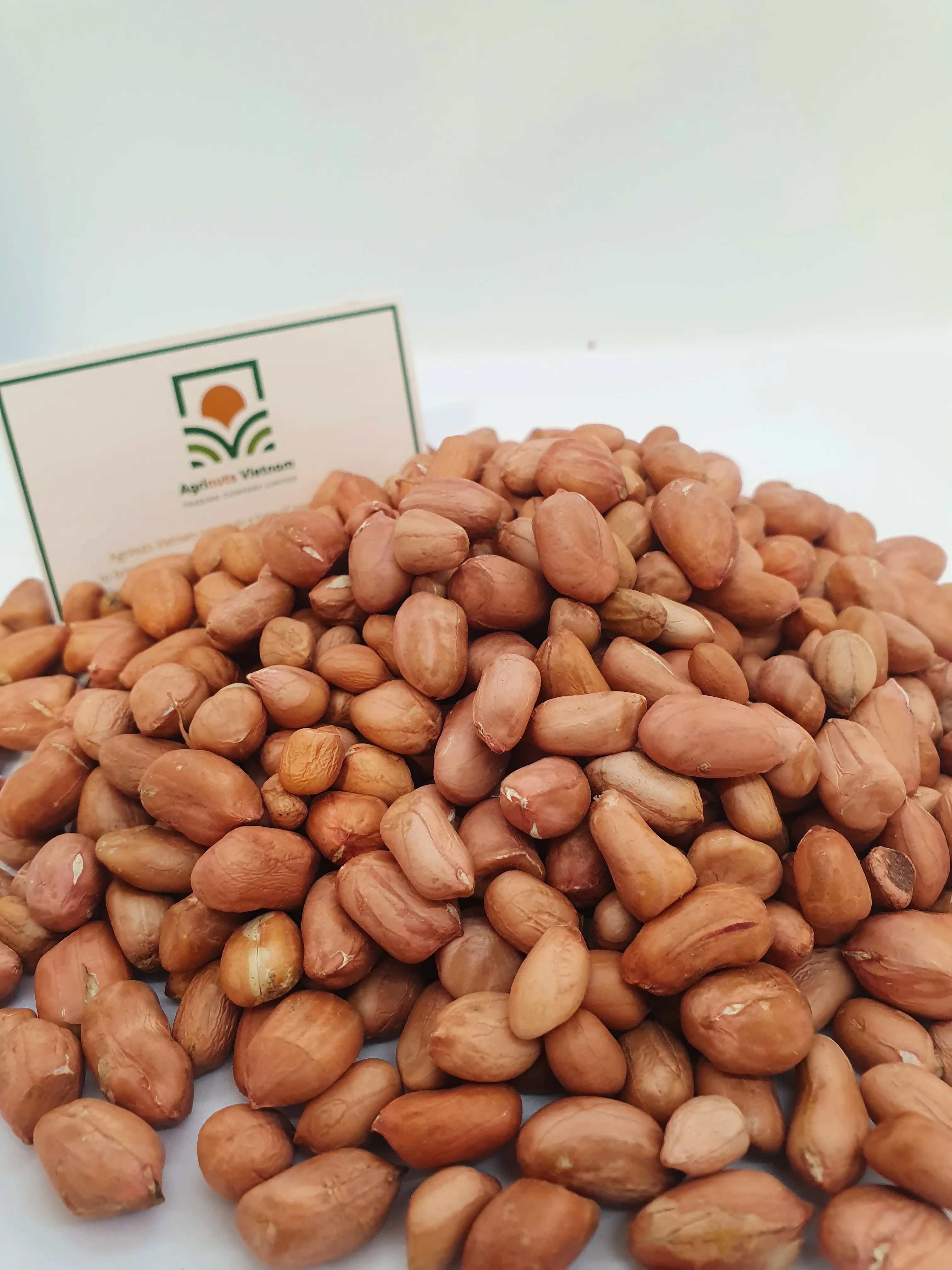 Peanut Grade Number 1 Size 6mm Product With Origin Vietnam Best Price For Sale High Quality From Manufacture Bryan 84 915600321